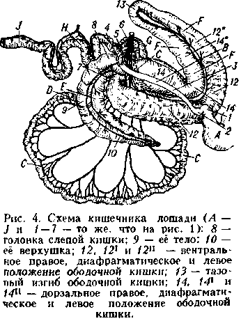 Image1048