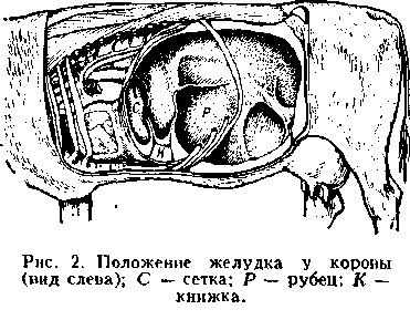 Image428