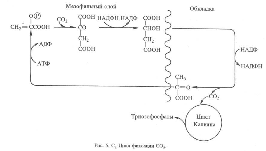 5035-17.jpg