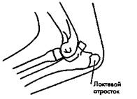 Рис. 15. Локтевой отросток локтевой кости