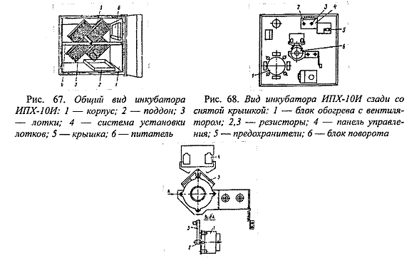 Инкубатор Петушок Где Купить Можно Б У